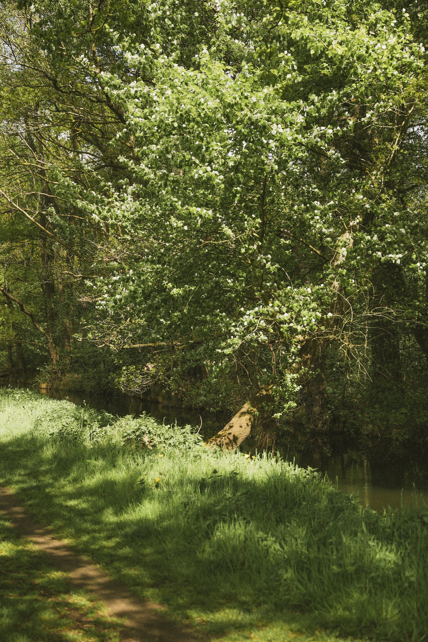 VESTIDO AMARILLO MANTEQUILLA