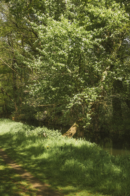 VESTIDO AMARILLO MANTEQUILLA
